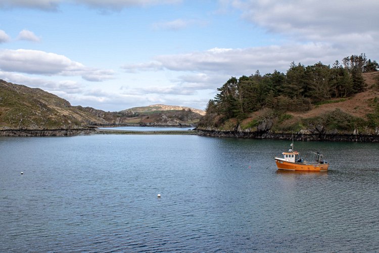 Lough Hyne 2