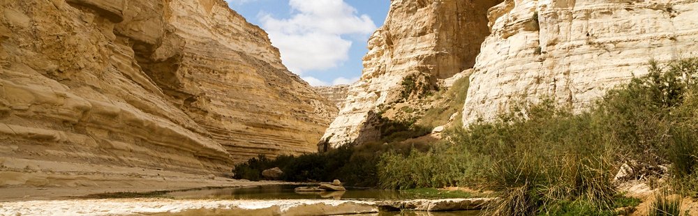 L'immersive dans le désert : Ein Avdat