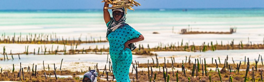 Le Seaweed Center, sur l’île de Zanzibar