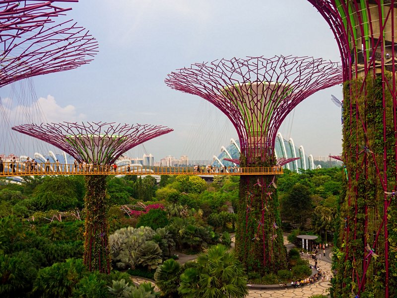 Gardens by the Bay