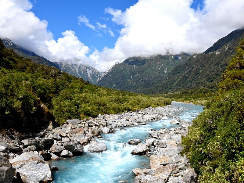 Réserve marine de Te Whanganui-A-Hei