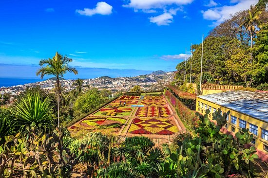 Jardin botanique de Funchal