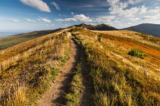 Parc national de Bieszczady