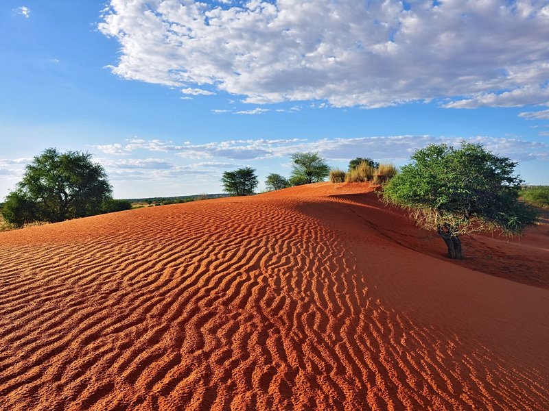 Désert du Kalahari