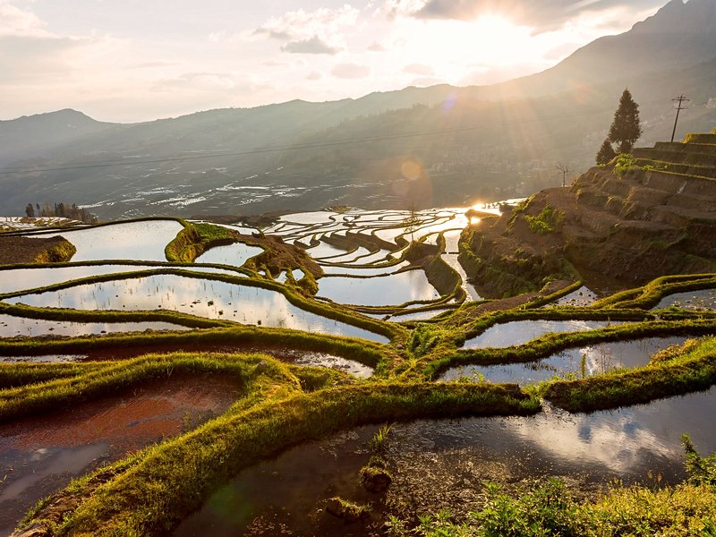 Rizières de Yuanyang