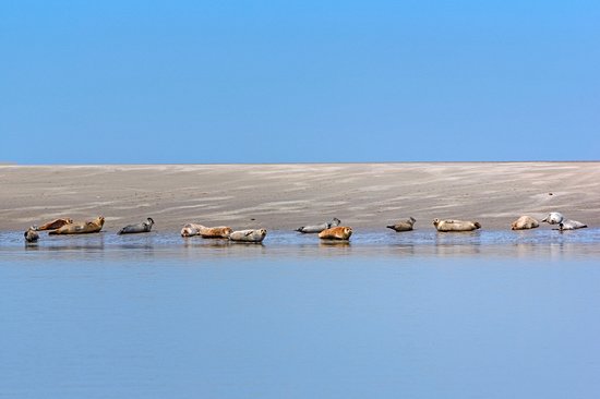 La Baie de Somme
