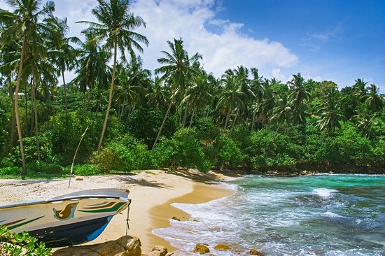 Mirissa Beach
