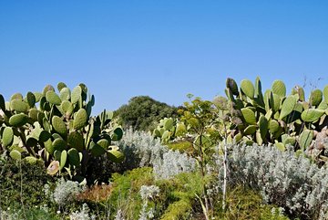 Vendicari Reserve