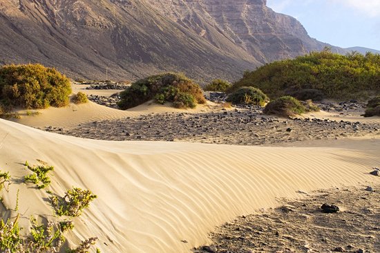 Playa del Risco
