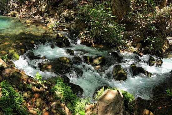 Banias