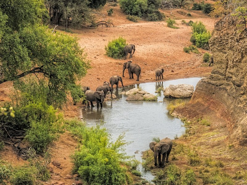 Parc national Kruger