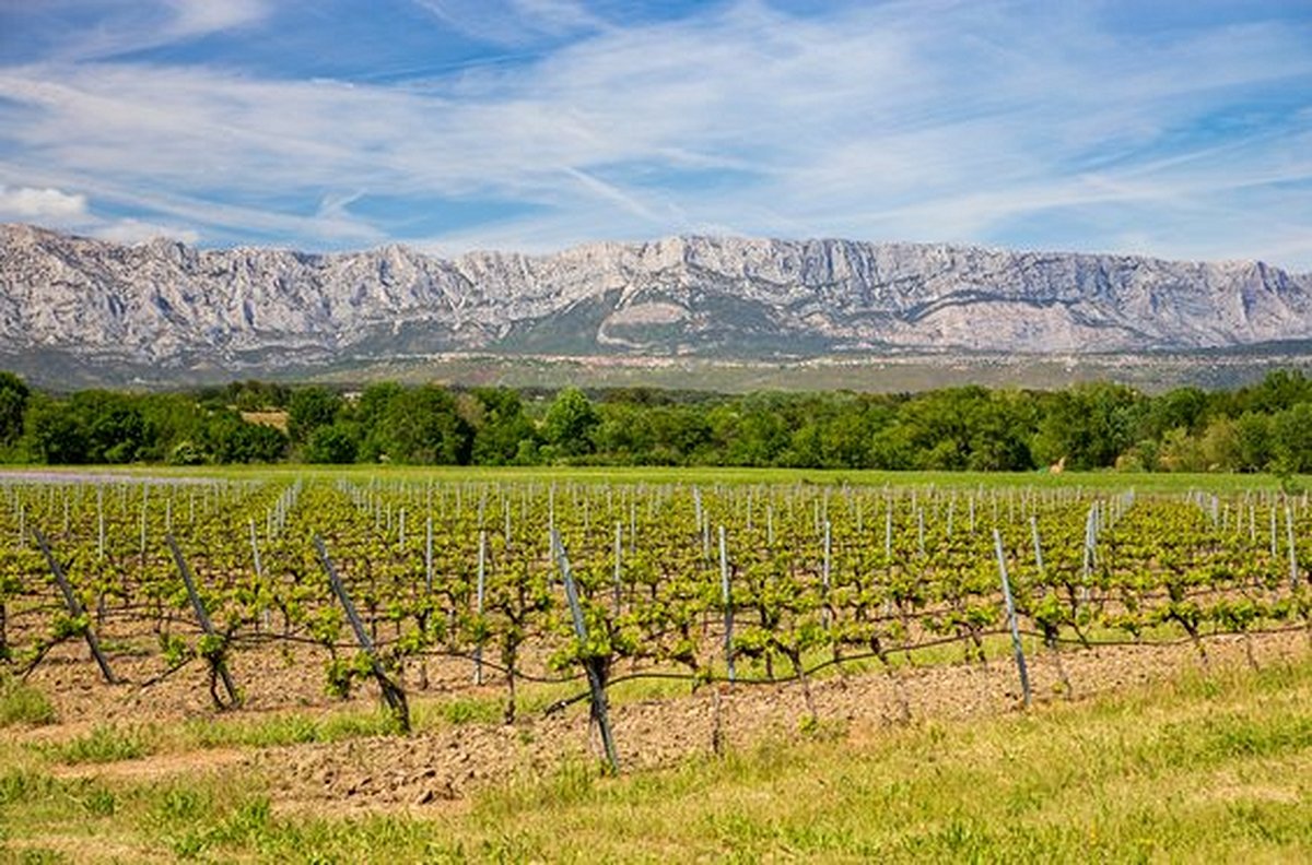 Prendre un verre au pied de la Sainte-Victoire