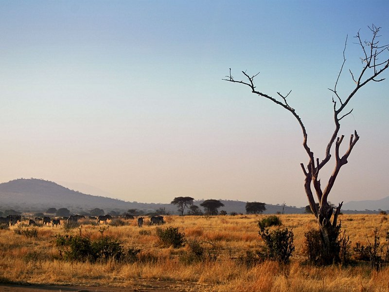 Parc national de Ruaha