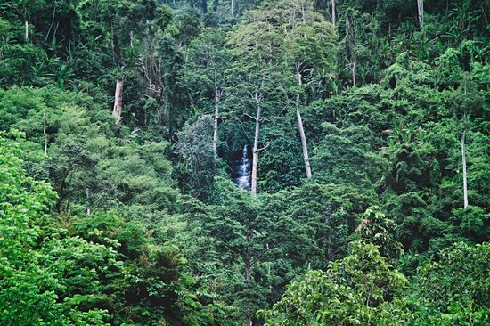Parc national de Preah Monivong