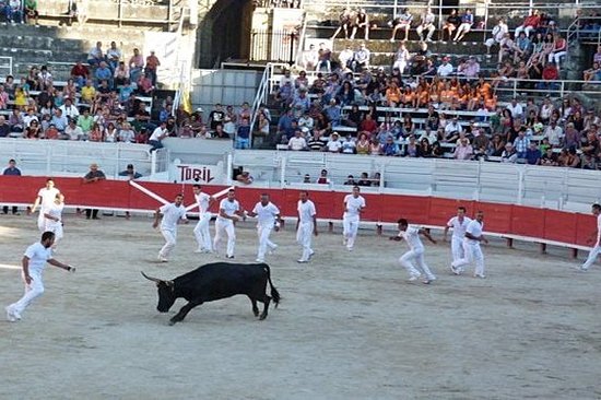 Frissonner avec la course camarguaise