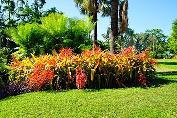 Jardin botanique tropical Fairchild
