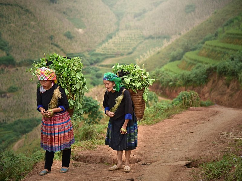 Sapa et les montagnes du nord Vietnam
