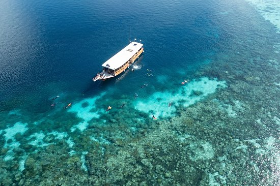Wakatobi