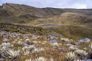 Parc national naturel de Chingaza