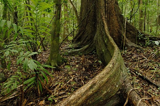Parc national Chagres