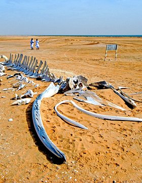 Les plus beaux lieux de la Mauritanie