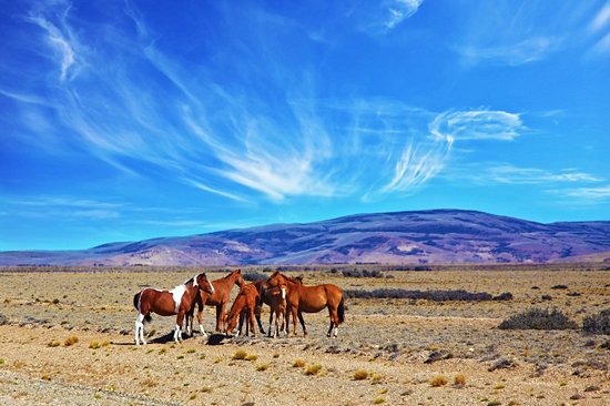La Pampa