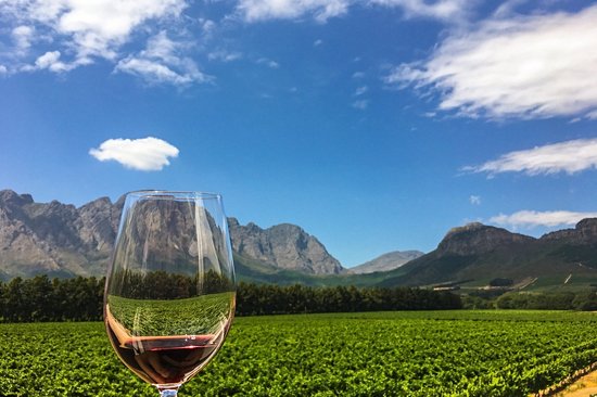 Les Vignobles
