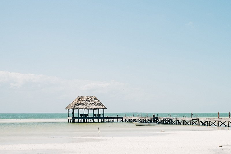 Plongée avec les requins-baleines à Holbox