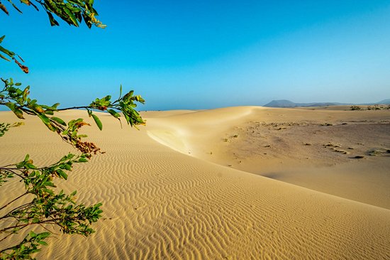 Corralejo