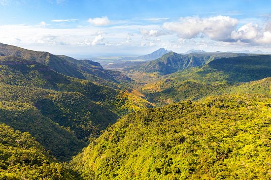 Parc national des gorges de Rivière Noire