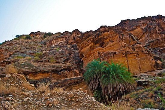 Wadi Bin Hammad