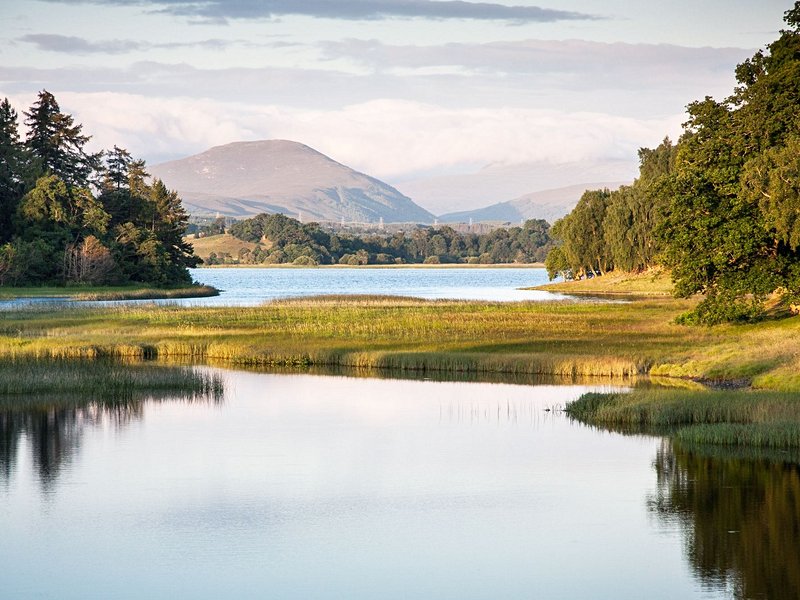 Cairngorms
