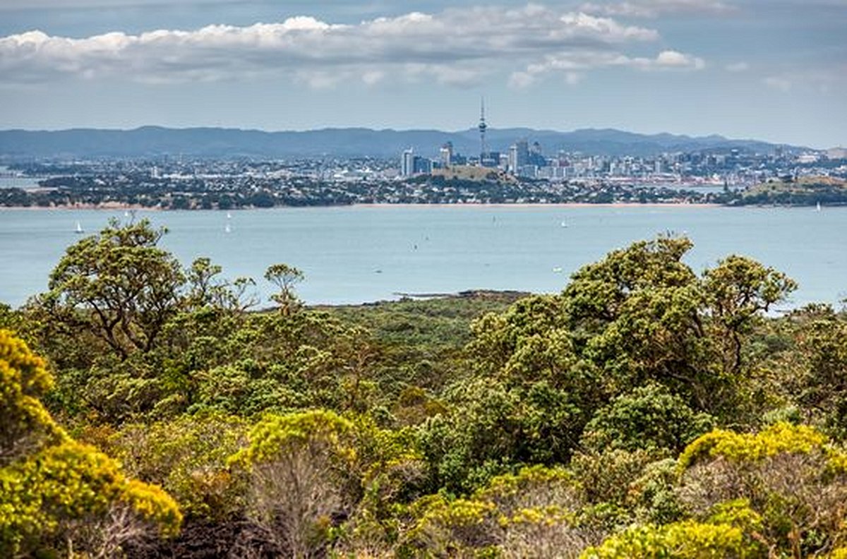 Randonner sur l’île volcanique de Rangitoto            