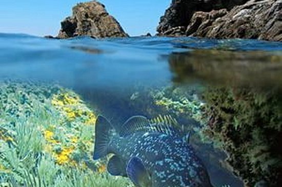 Catalogne et les costas