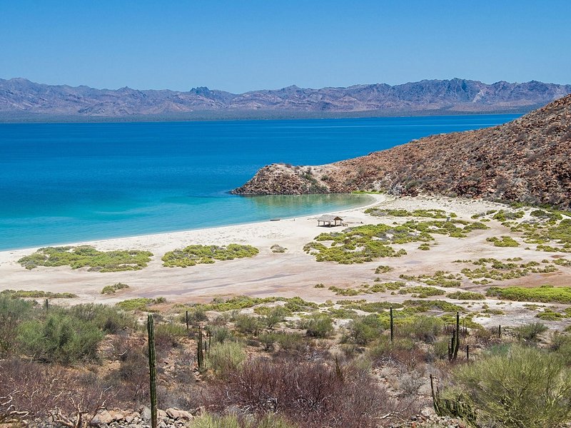 Bahía Concepción
