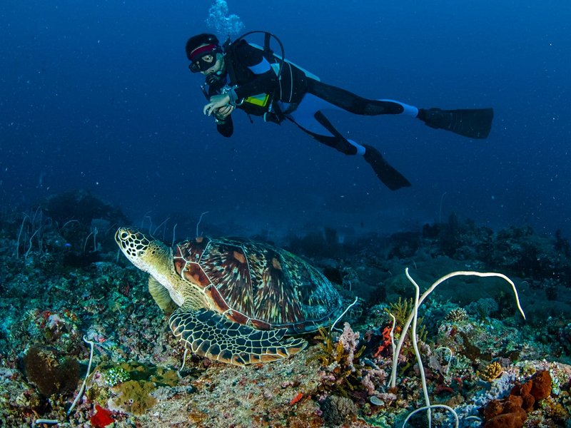 Les îles Gili