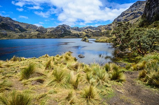 Parc national Cajas