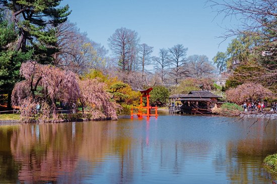 Jardin botanique de Brooklyn