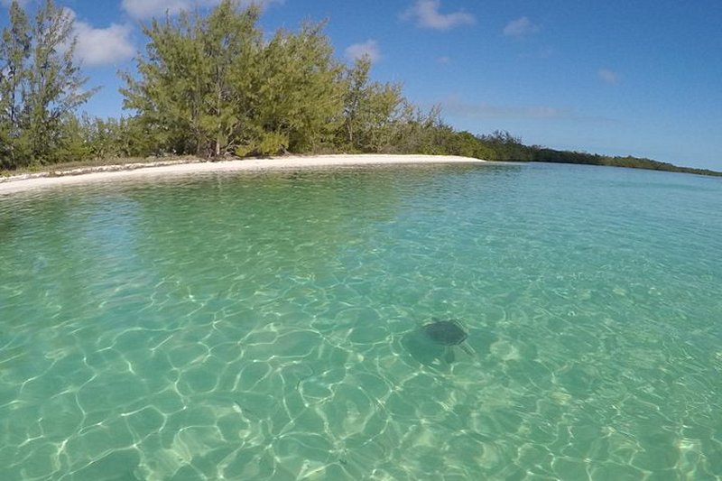 plage Shark Creek Beach à Great Harbour Cay
