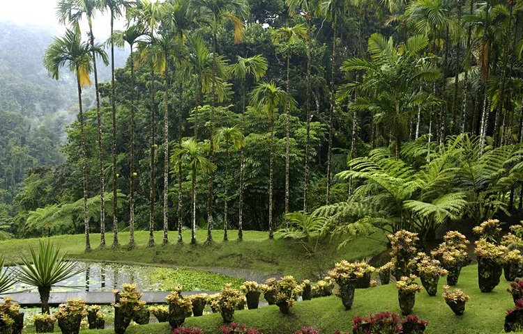 Jardin de Balata