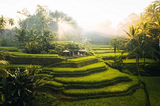 Tegallalang (Bali)