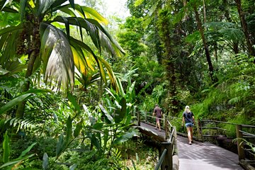 Jardin botanique tropical d'Hawaï
