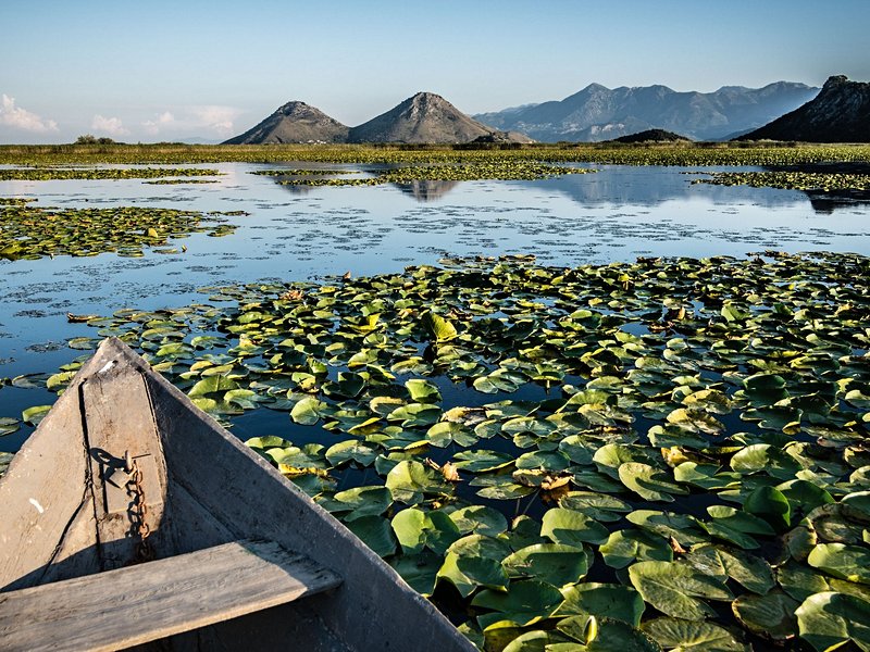 Lac Skadar