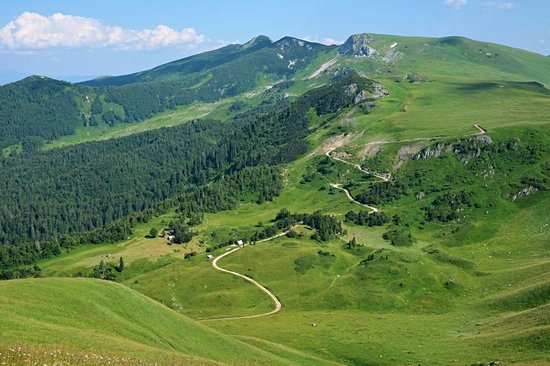 Parc national biogradska Gora