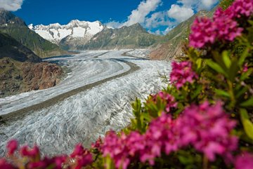 Eggishorn