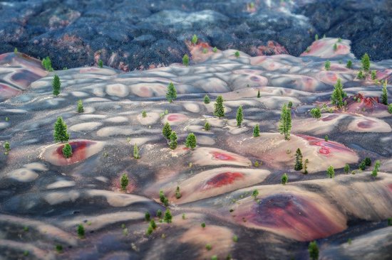 Dunes peintes