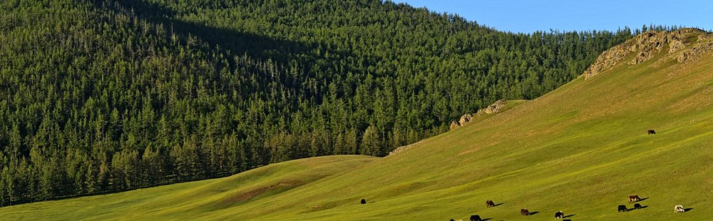Vallée de l'Orkhon