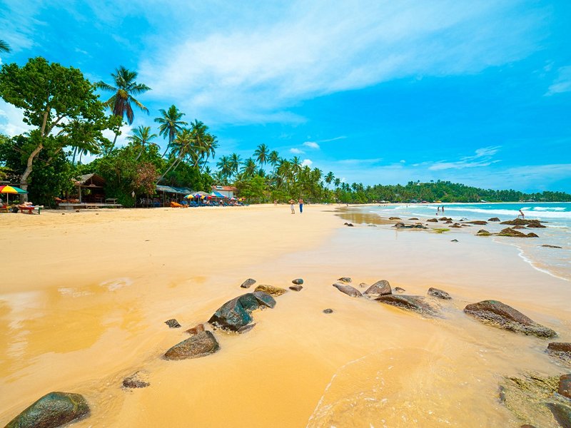 Mirissa Beach