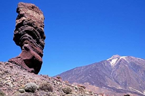 Roque Cinchado