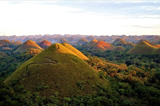 Admirer les Chocolate Hills